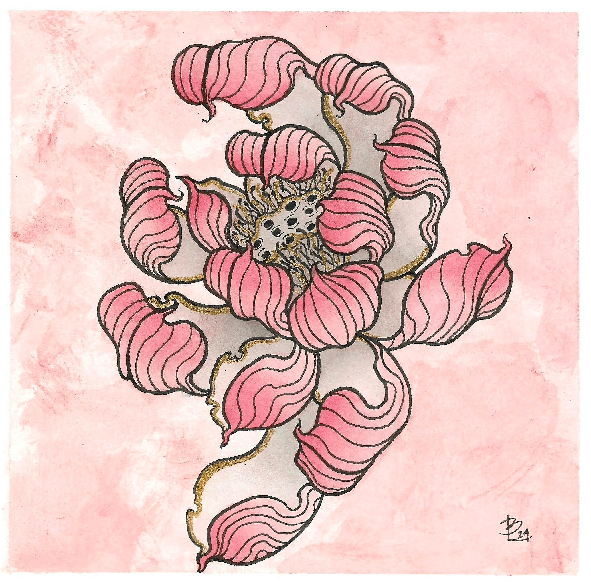 Blush Pink & Gold Lotus Blush Pink & Gold Lotus
